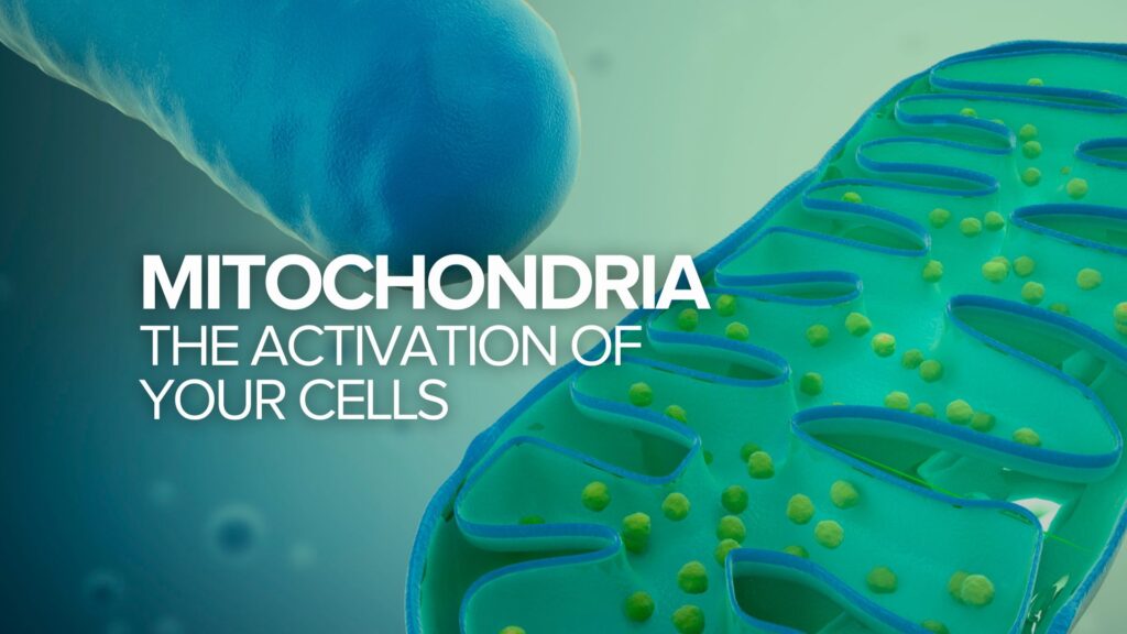 Mitochondria: The Activation of Your Cells