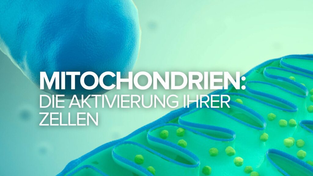 Mitochondrien: Die Aktivierung Ihrer Zellen Mitochondrien: Die Aktivierung Ihrer Zellen