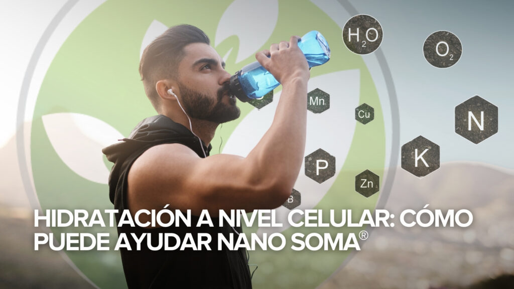 Hidratación a nivel celular: cómo puede ayudar NANO SOMA® Hidratación a nivel celular: cómo puede ayudar NANO SOMA®