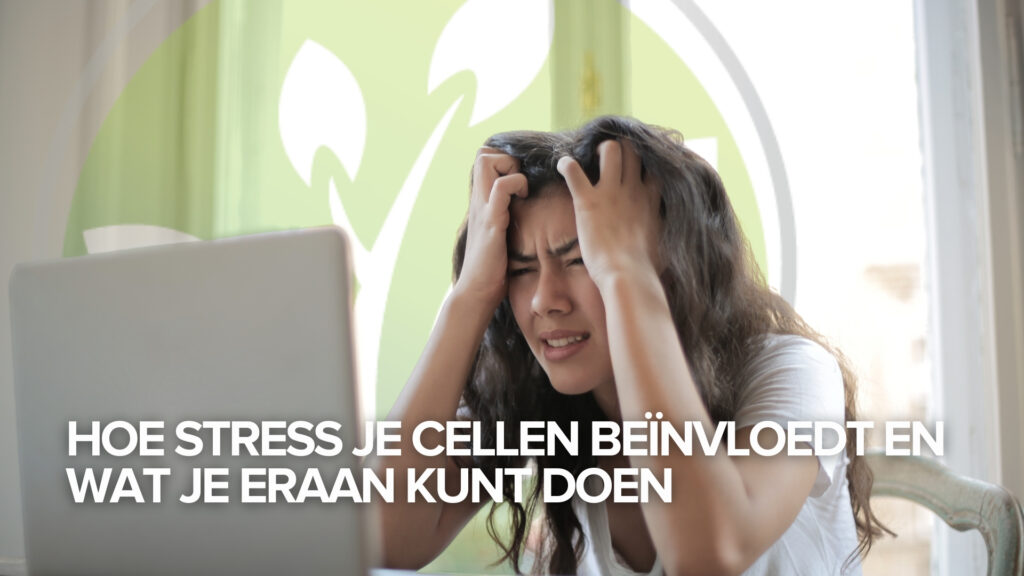 Hoe stress je cellen beïnvloedt en wat je eraan kunt doen
