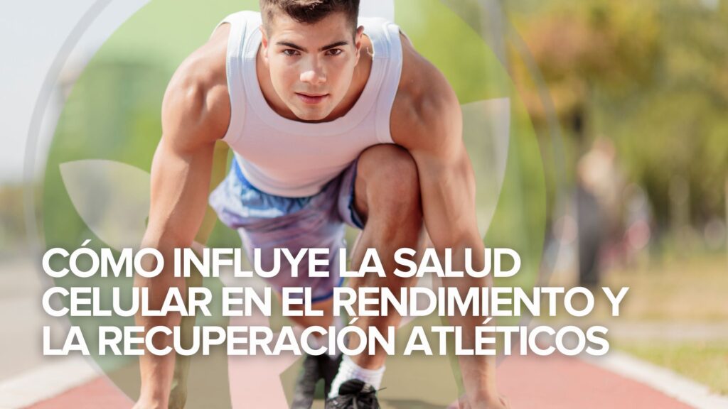 Cómo influye la salud celular en el rendimiento y la recuperación atléticos