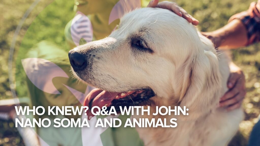 Wer hätte das gedacht? Frage und Antwort mit John:NANO SOMA® und Tiere Wer hätte das gedacht? Frage und Antwort mit John:NANO SOMA® und Tiere