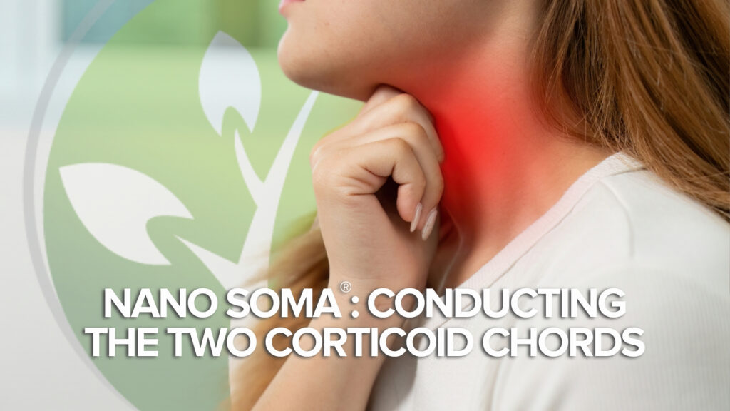NANO SOMA®: De twee corticoïde akkoorden dirigeren