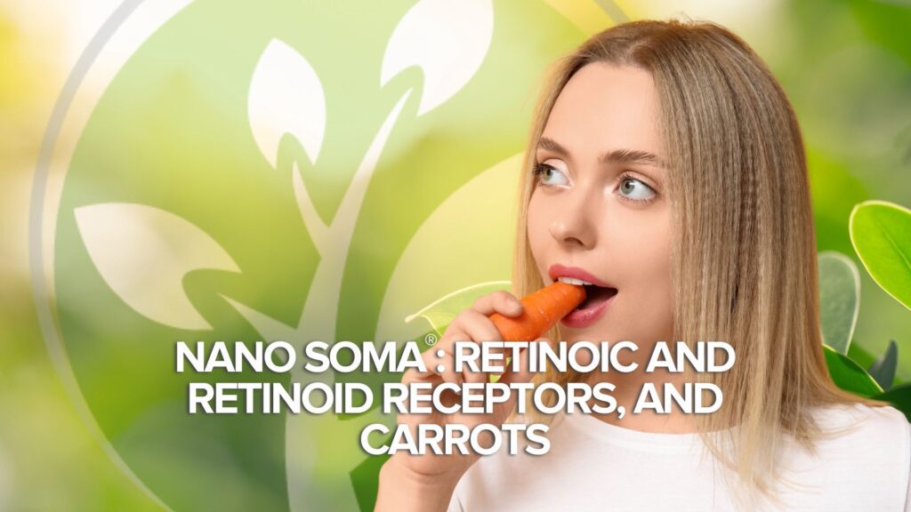 NANO SOMA®: Receptorii retinoici și retinoizi și morcovii