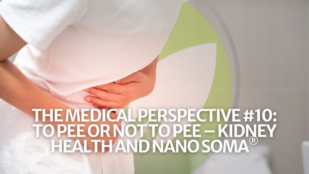 Het medisch perspectief #10: Wel of niet plassen – Niergezondheid en NANO SOMA®