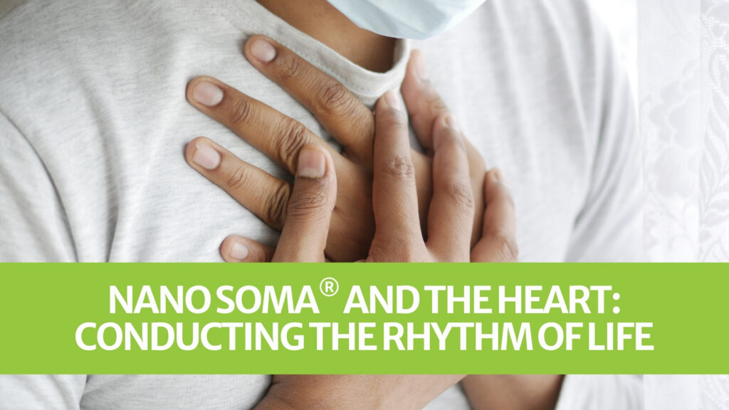 NANO SOMA® und das Herz: Den Rhythmus des Lebens dirigieren