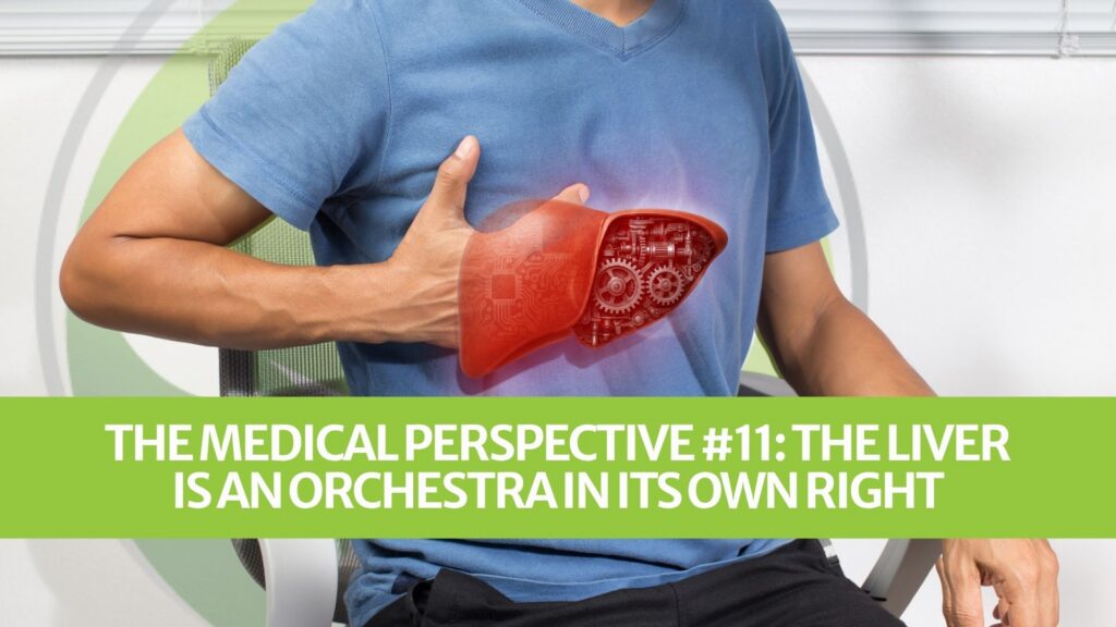 The Medical Perspective #11: The Liver Is an Orchestra in Its Own Right The Medical Perspective #11: The Liver Is an Orchestra in Its Own Right